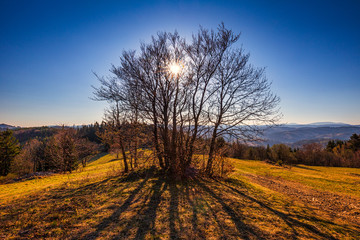 Obraz premium Mountainous landscape with trees at sunset. Kysuce region in the north of Slovakia, Europe.