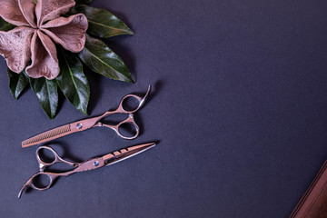scissors for a hairdresser and decoration made of wood and leaves lie on a textural background