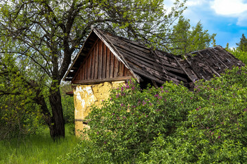 Old, abandoned house in the village
