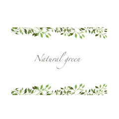 Watercolor illustration border frame green leaves and branches. Suitable for all types of design and printing.
