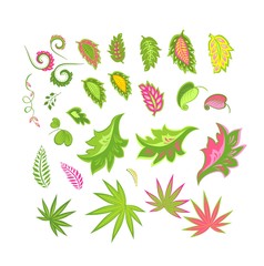 Tropical abstract exotic leaves set isolated on white background. Vector illustration