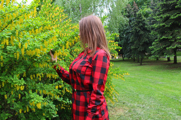 Young girl in a red checkered shirt sniffs yellow flowers on a bush in a park