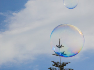 Soap bubble floating in the air as the blue sky