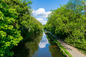 Fototapeta na wymiar Canal in the woods
