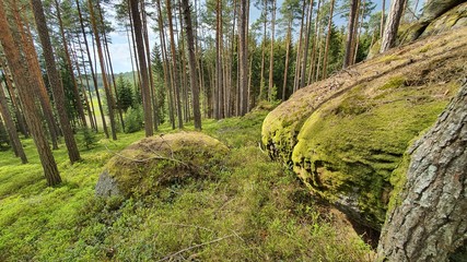 Stein wald Stone Wackelsteine Findlinge Ruhe 