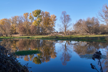 Walk along the bank of the river Snezhet.