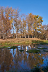 Walk along the bank of the river Snezhet.