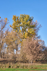 Obraz premium Walk along the bank of the river Snezhet.