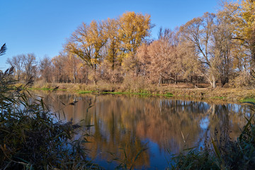 Walk along the bank of the river Snezhet.