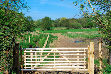 prairie en vallée de Chevreuse