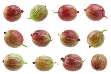 Red gooseberry closeup collection