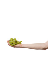 Naklejka na ściany i meble fresh grape held in hand isolated on white background. man holding bunch of berries in palm. delivery from shop to home. food supplies, donation, volunteer. product ingredients for dish, cooking meals