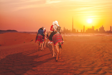 Camel tourists caravan walking on sunset desert near Dubai skyline. Dubai travel concept.