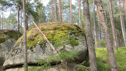 Stein wald Stone Wackelsteine Findlinge Ruhe 