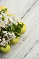 Apple blossom on a wooden white background. A square of green apples is filled with flowering branches. Copy space and horizontal orientation