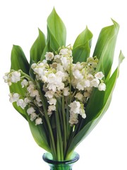 bouquet of lilies of the valley in a vase