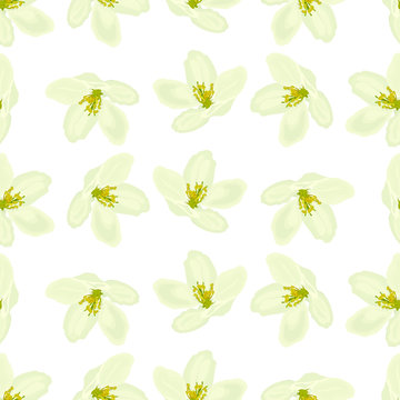 Apple tree flowers seamless pattern. EPS10 vector illustration.