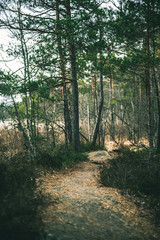 Trail around a lake