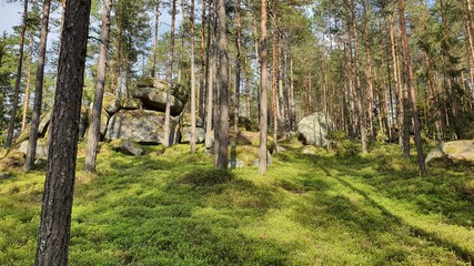 Stein wald Stone Wackelsteine Findlinge Ruhe 