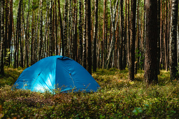 hiking travel life style passion concept picture of tent camp side place in forest moody nature environment green foliage and ground with hand made stone trail