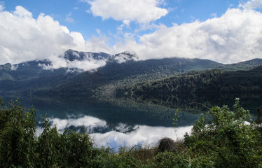 patagonia landscapes forest nature river lake