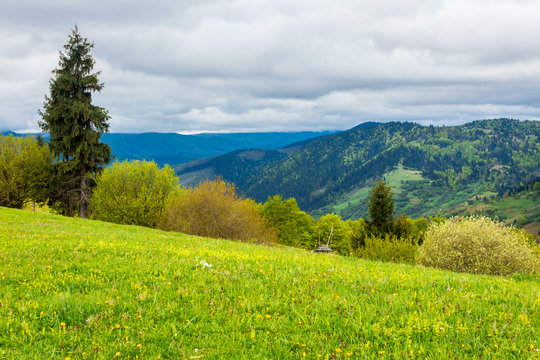 beautiful rural landscape of mountainous area. countryside scenery on a n overcast day in spring