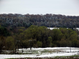 Spring is coming soon...