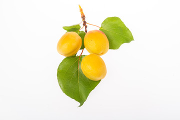 fresh apricots and leaves isolated background