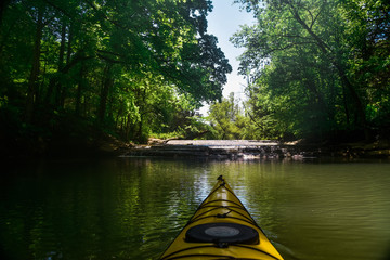 Paddling a Creek on the French Broad River in Knoxville, TN  - obrazy, fototapety, plakaty