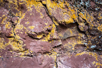 Natural stone with yellow lichess like a wallpaper or background