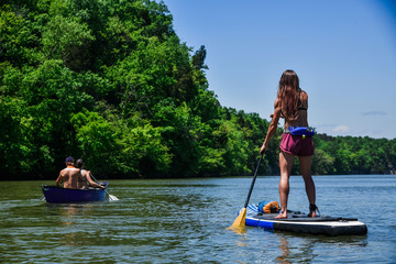 Paddling the Tennessee River in Knoxville, TN  - obrazy, fototapety, plakaty
