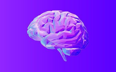 Low poly brain illustration isolated on purple BG