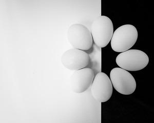 Eggs in a circle on a black and white background