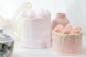 Obraz na płótnie Canvas cakes, minicakes, cupcakes, tortas, pasteles, tartas, ponques