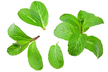 Fresh mint leaves isolated on white background. top view