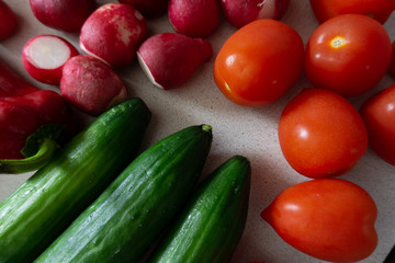 A set of fresh vegetables just from home garden. Healthy and organic food for people.