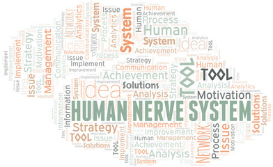 Fototapeta na wymiar Human Nerve System typography vector word cloud.