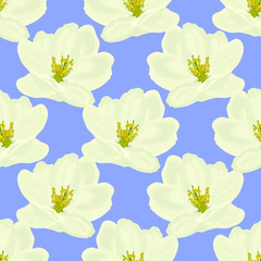 Apple tree flowers seamless pattern. EPS10 vector illustration.