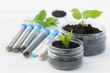 Samples of different types of soil in test tube and green plants in the jar on the table. Soil science concept.