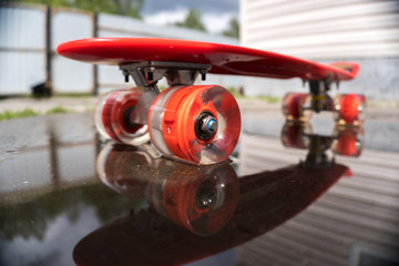 red children's skateboard in the water