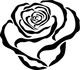 Rose Rosa Flower Black Icon Sign Logo Tattoo Pattern