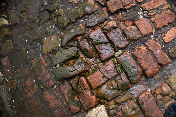 wet brick texture
