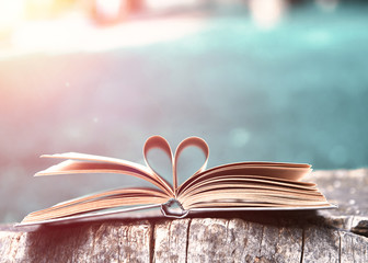 heart of paper book