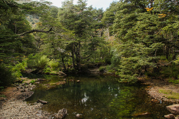 patagonia landscapes forest nature river lake