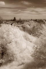 Old Town of Gdansk.  Boy and girl watching panorama from fortress of Gora Gradowa. Green vegetation in infrared (modified DSLR camera).