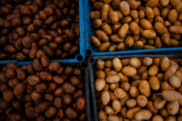 potatoes processed from Colorado potato beetle.
