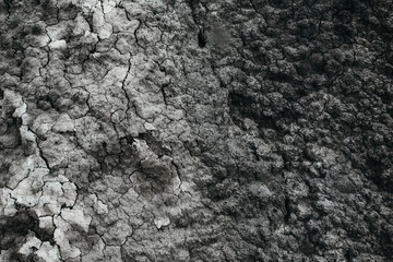 The texture of dry earth and mud.