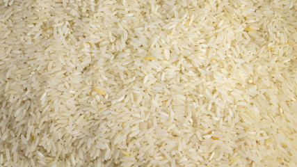 Detail of many rice grains