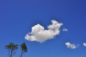 blue sky with clouds and trees