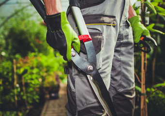 Male Worker Holding Gardening Hand Tools.